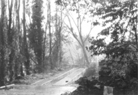 Clicca sulla foto per vedere ingrandimento